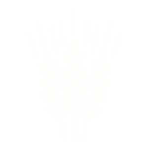 Icon of grain